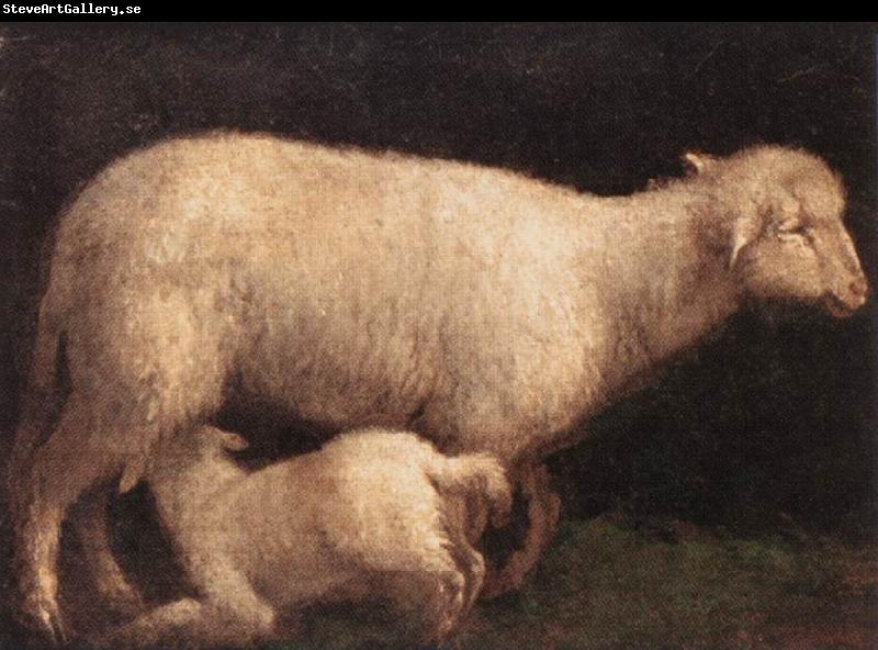 BASSANO, Jacopo Sheep and Lamb dghj